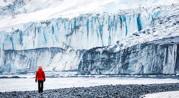 Glaciar Isla Livingston